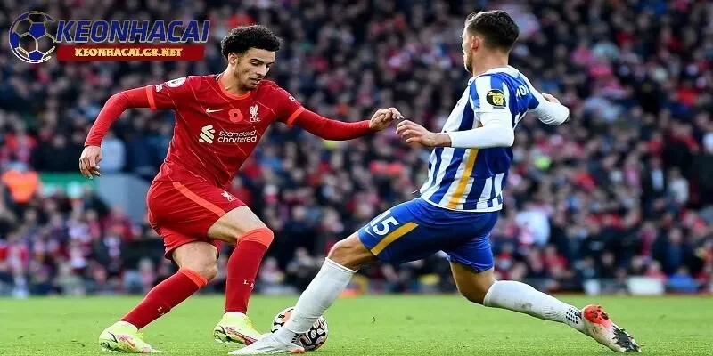 Soi kèo nhà cái Brighton vs Liverpool